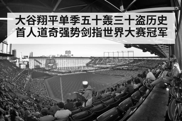 baseball stadium crowd