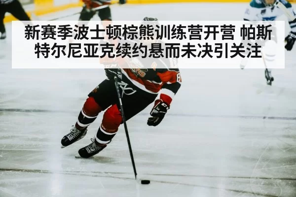 hockey player skating rink