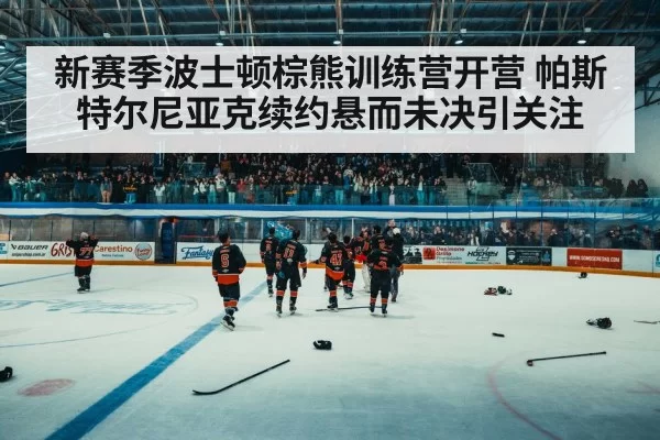 hockey arena crowd